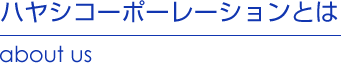 ハヤシコーポレーションとは